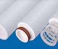 PALL RM2F200H21